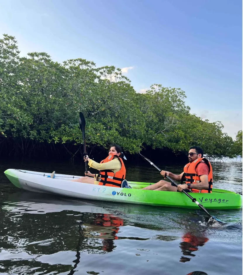 Mangrove Creek Kayaking in Havelock, Havelock