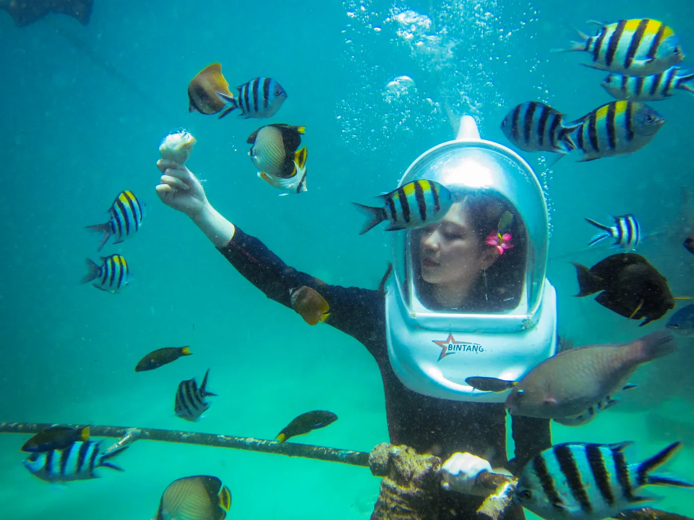 Underwater Sea Walker Adventure, Kuta