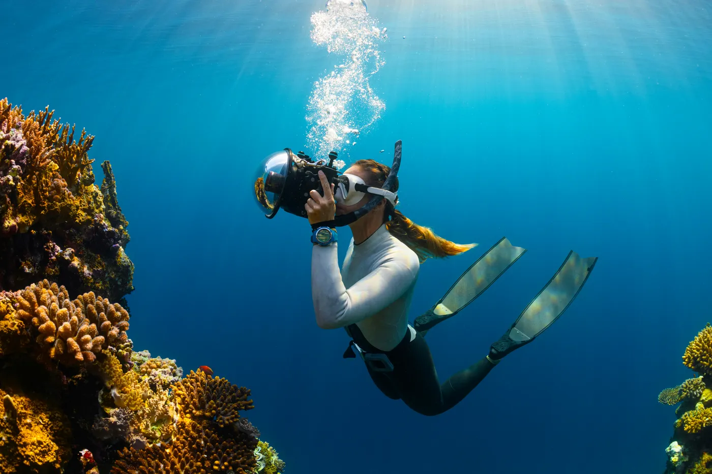 Scuba Diving Half Day trip, Phi Phi Island