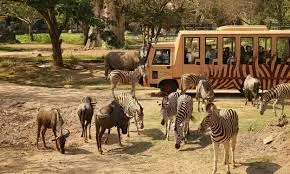Bali Safari & Marine Park: Jungle Adventure, Kuta