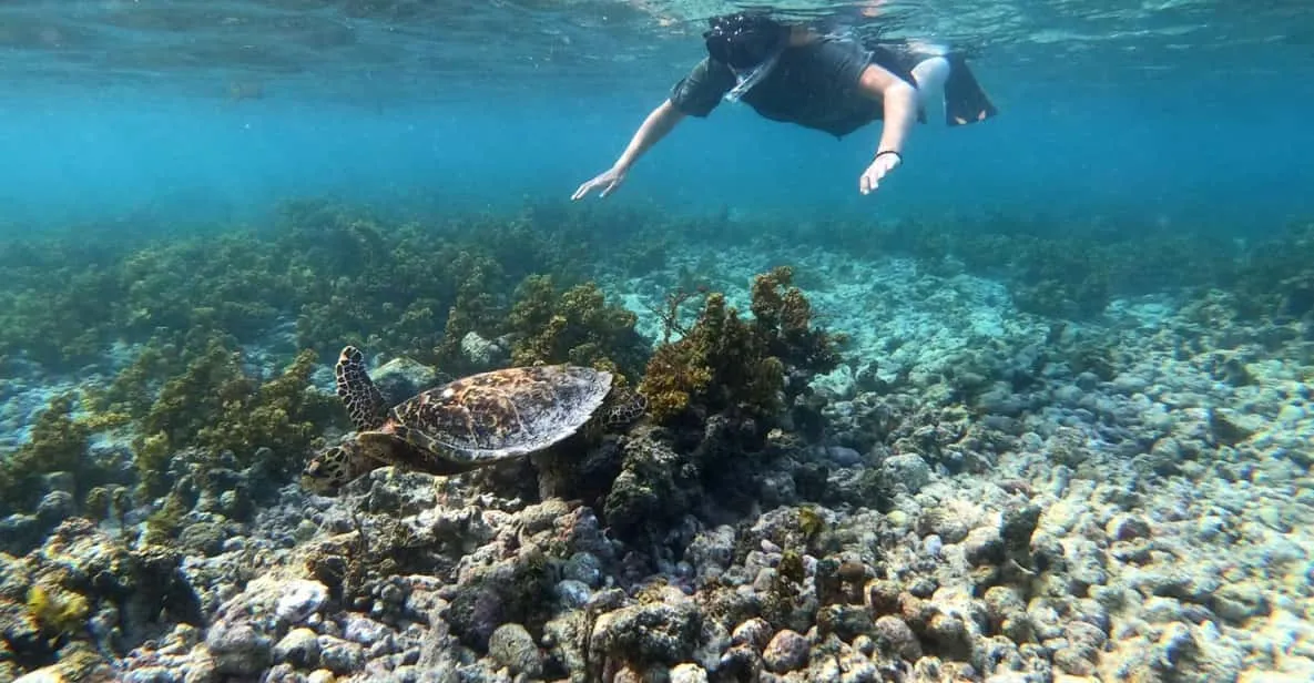 Seychelles: Praslin & La Digue Island Boat Adventure, Praslin