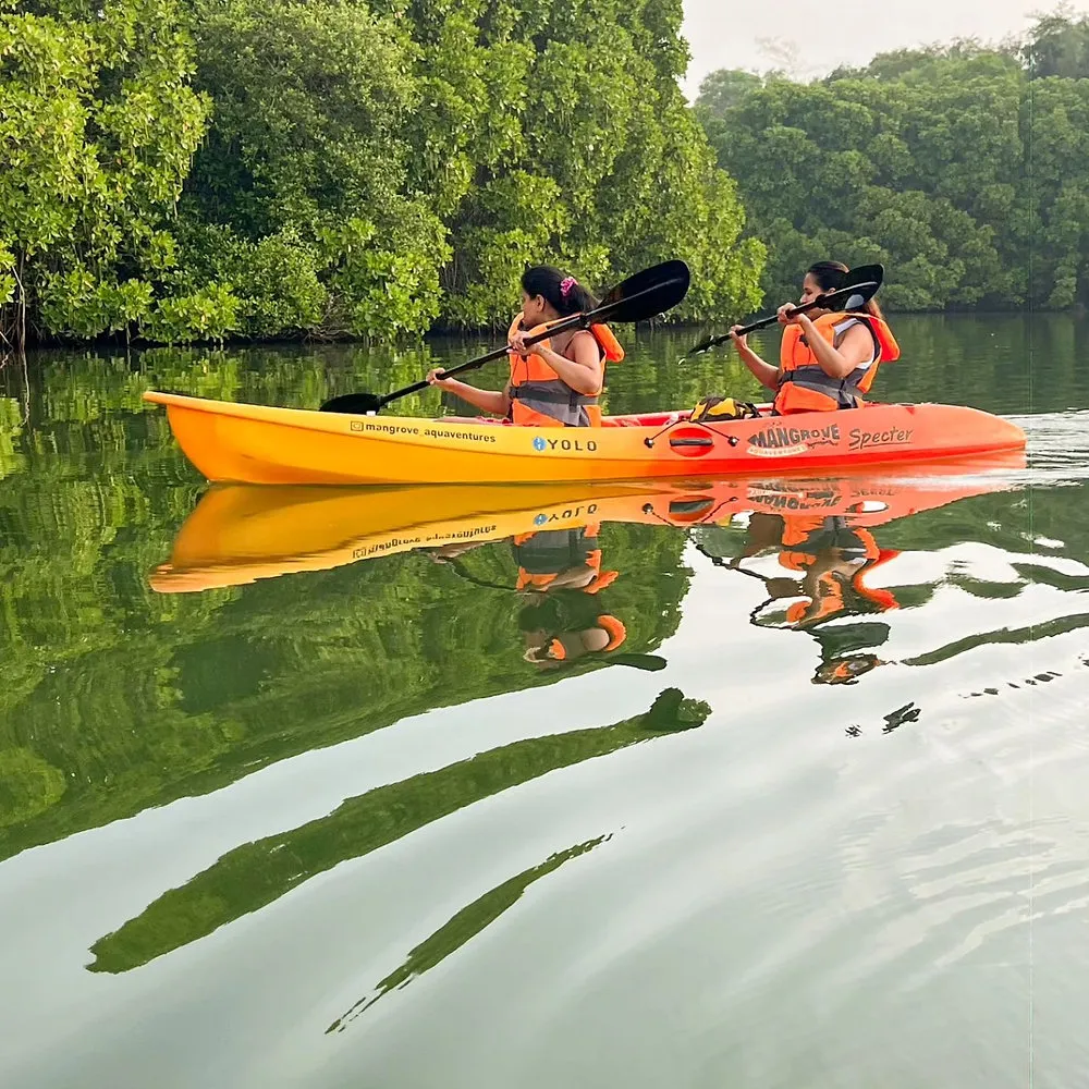 Varkala: Tranquil Backwater Kayak Escape, Varkala