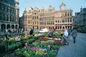 Brussels: Self-Guided Day Trip Adventure, Amsterdam