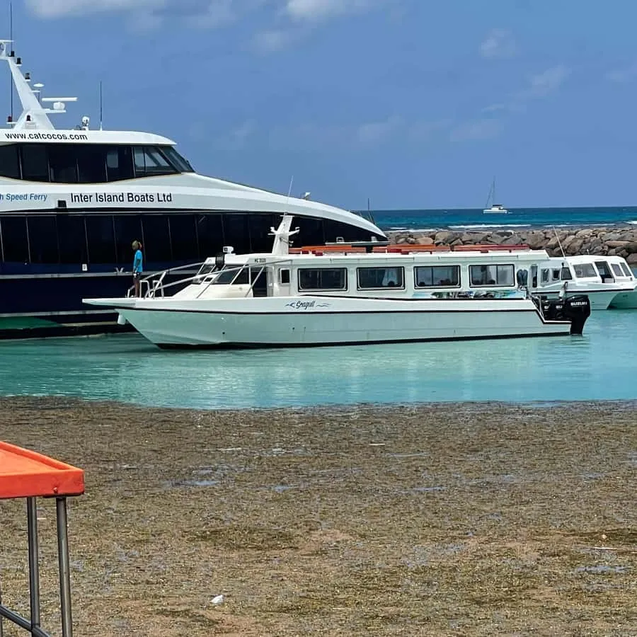 Praslin and La Digue Shared Trip with Lunch, Mahe Island