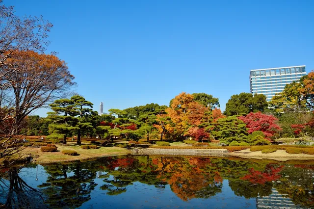 Tokyo: Imperial Heritage & Serenity Walk