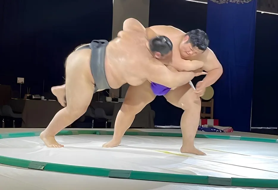 Osaka: Sumo Heritage & Cultural Showcase, Osaka