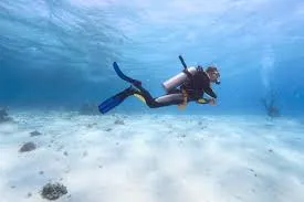 Shore Dive: Coastal Underwater Adventure, Havelock