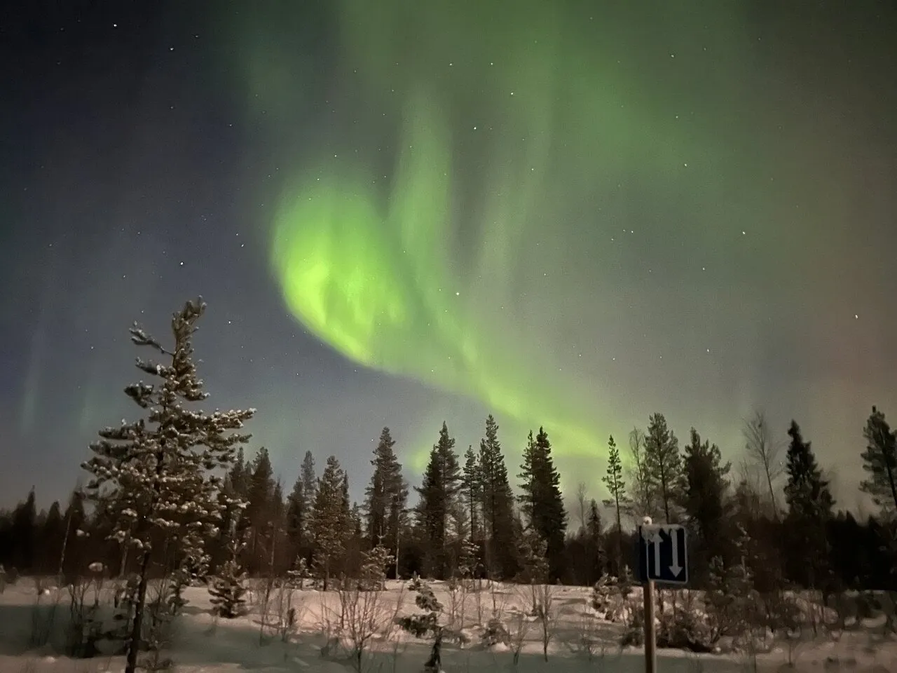 Rovaniemi: Arctic Lights Chase & Photo Safari, Rovaniemi