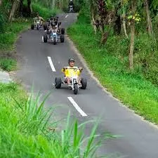 Bali Jungle Cart Adventure: Gravity-Driven Exploration, Ubud