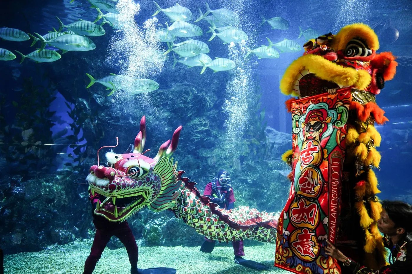 Bangkok: Underwater Wonder at SEA LIFE, Bangkok