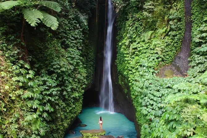 Bali: Leke-Leke Waterfall, Monkey Forest & Jungle Swing Tour, Ubud