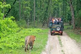Bandipur National Park, Mysore