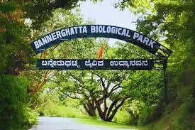 Bannerghatta National park bengaluru, Bengaluru