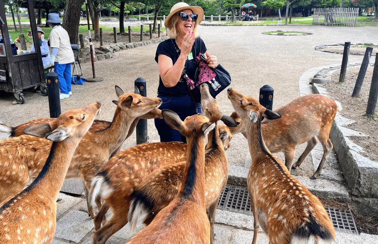 Nara: Heritage & Nature Morning Escape, Kyoto