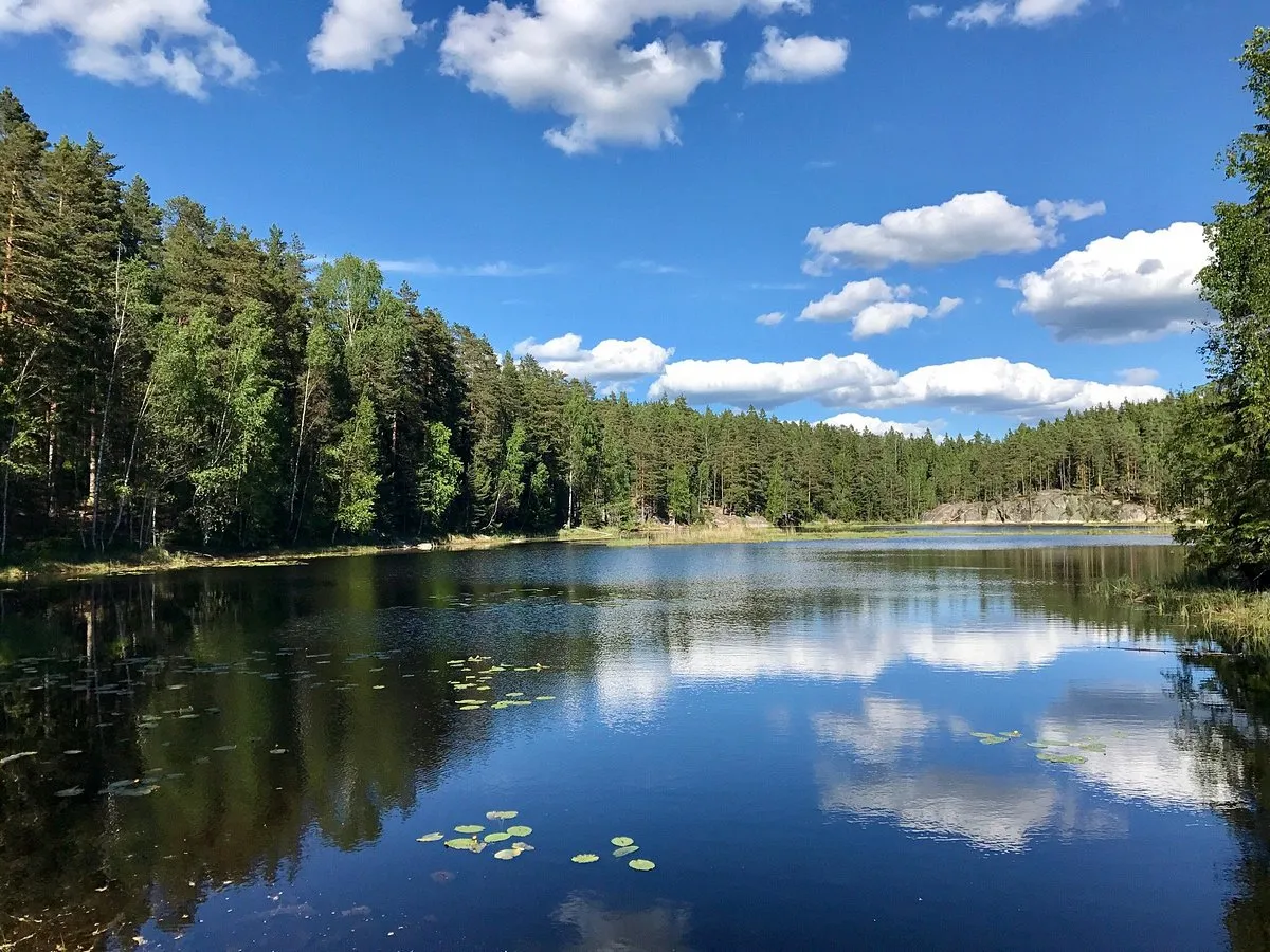 Helsinki: Nuuksio Wilderness Adventure, Helsinki