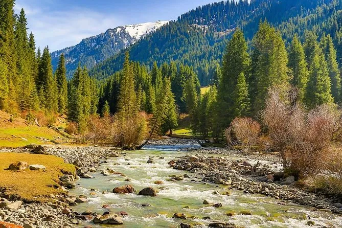 Bishkek: Ala Archa National Reserve Half-Day Tour with Hike, Bishkek
