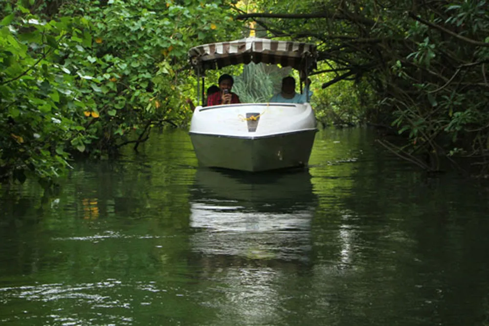 Poovar Backwaters Motorboat cruise, Kovalam
