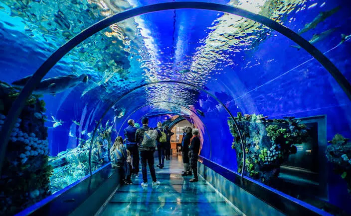 Underwater World Modern Aquarium, Pattaya