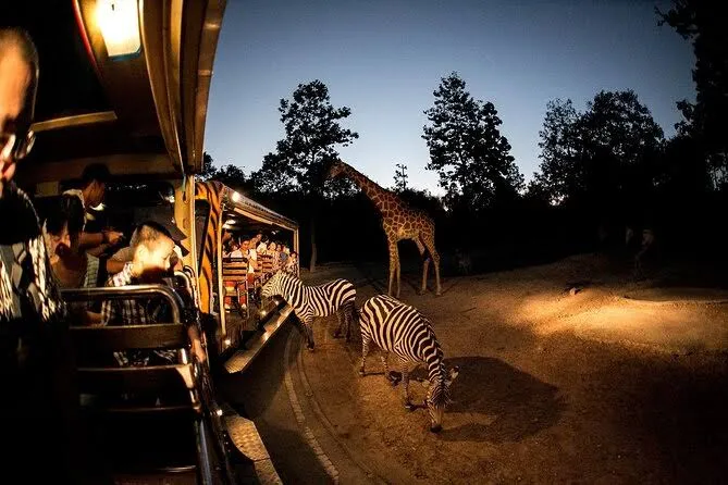 Night Safari Tour, Chiang Mai