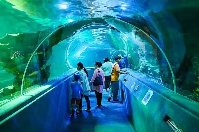Zoo aquarium, Chiang Mai