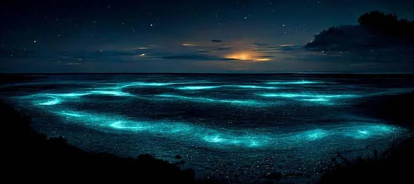 Phuket James Bond and Phang Nga Bay Bioluminescent Plankton with Sea Canoes, Phuket