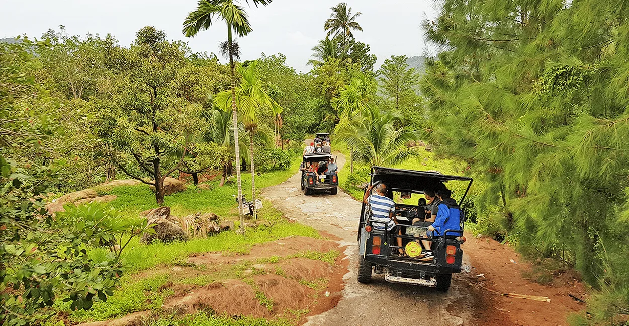 Koh Samui: Jungle Safari & Waterfall Adventure, Koh Samui