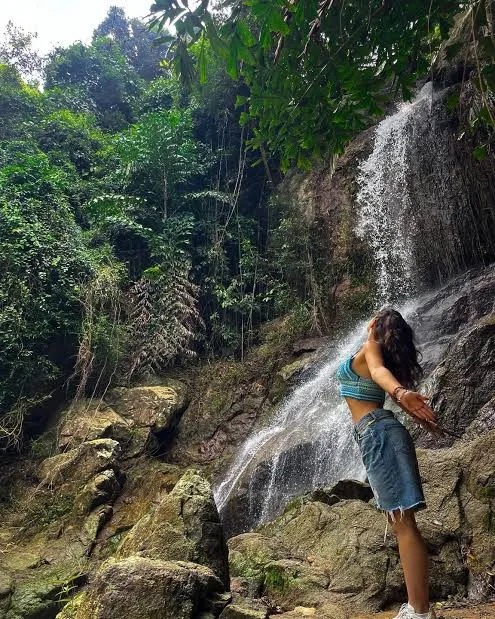 Koh Samui: Jungle Zipline & Waterfall Adventure, Koh Samui