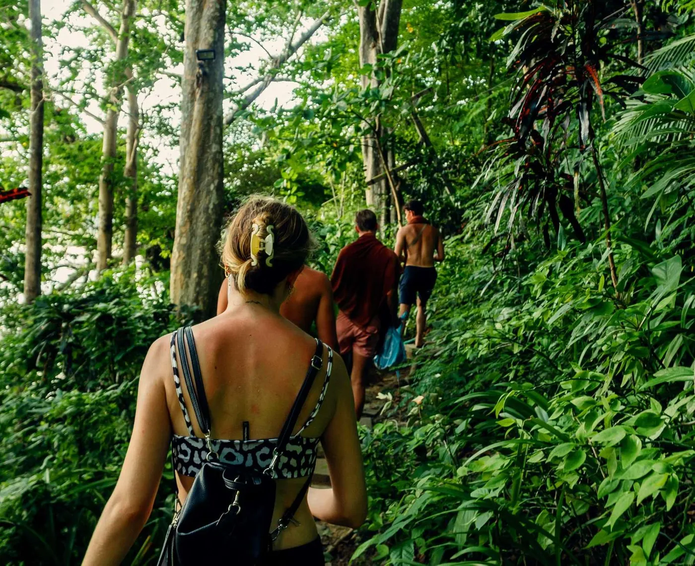 Khao Sok:  Waterfalls and Wildlife Half-Day Trek Small group, Khao Sok