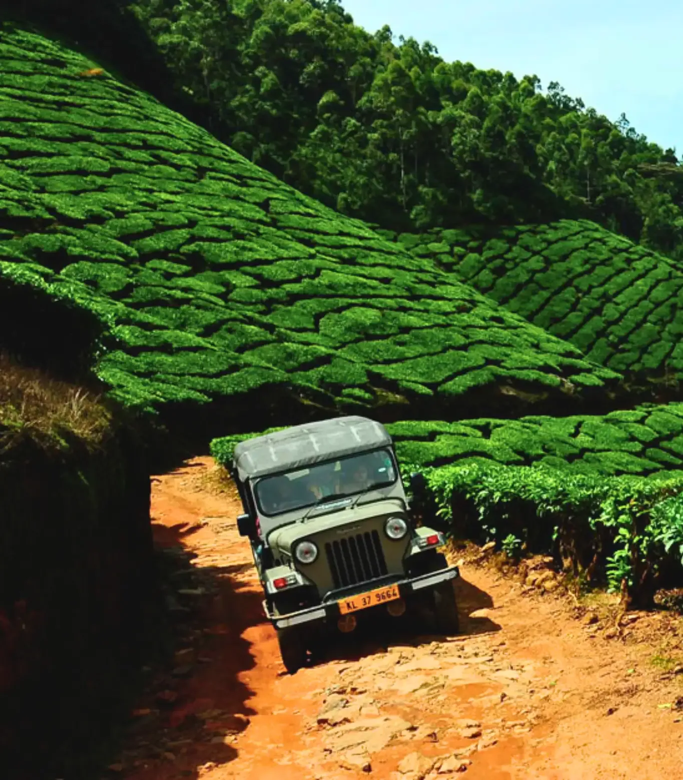 Kolukkumalai: Sunrise & Wilderness Jeep Safari, Munnar