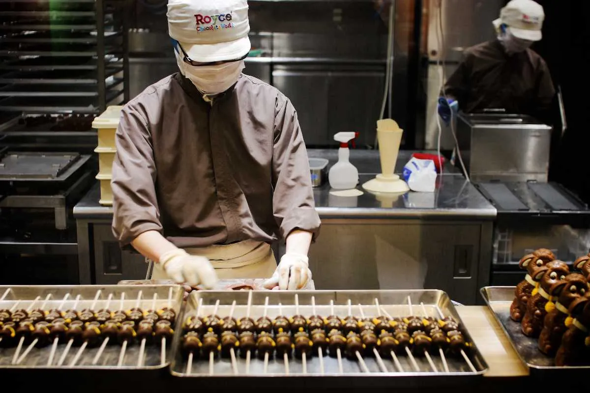 Chocolate Factory tour + Free Chocolates, Munnar