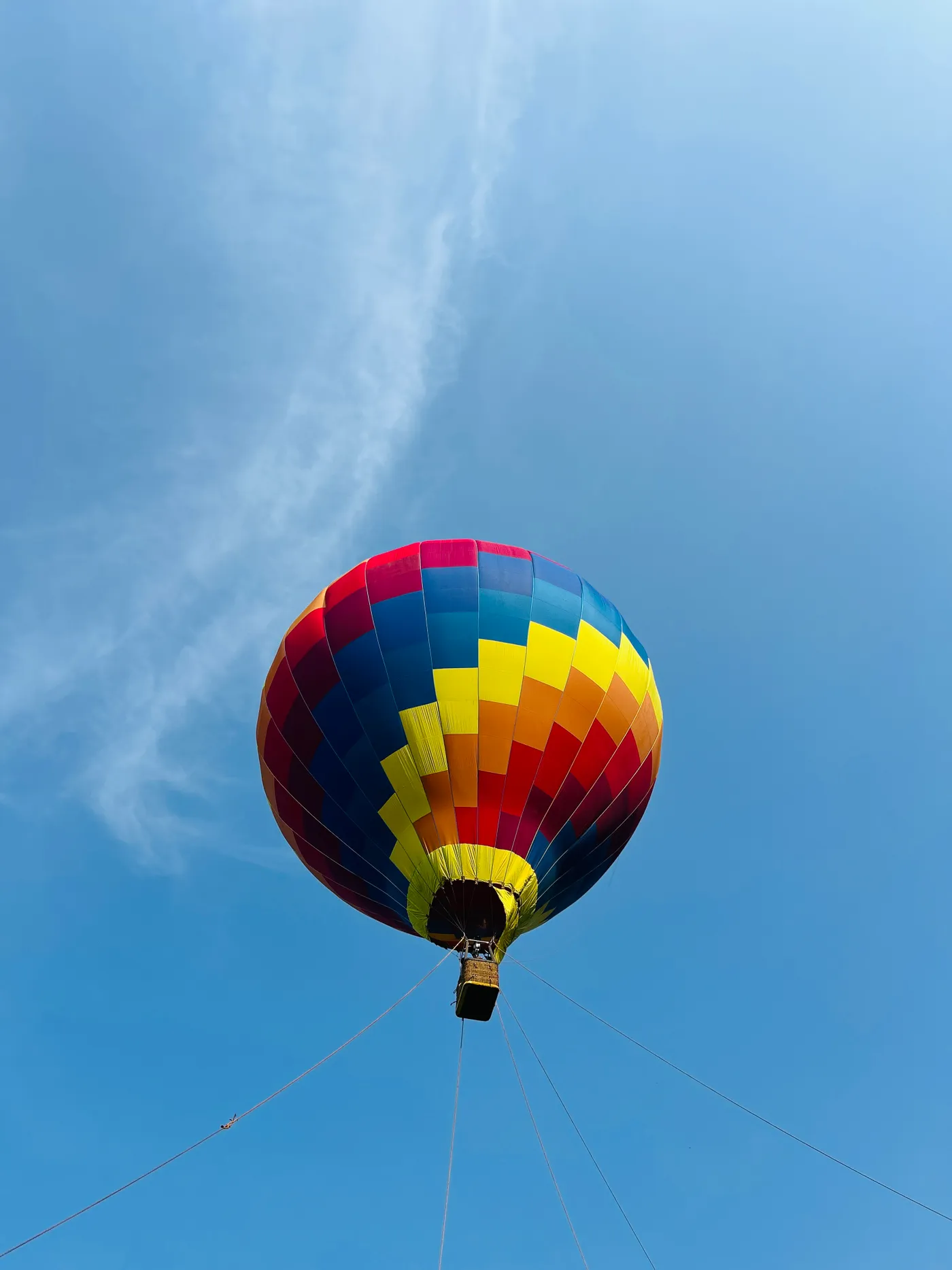 Munnar: Skyward Tea & Valley Adventure, Munnar