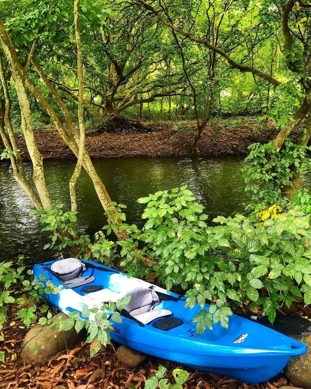 Mauritius: Enchanting River & Monkey Kayak Adventure, Mauritius