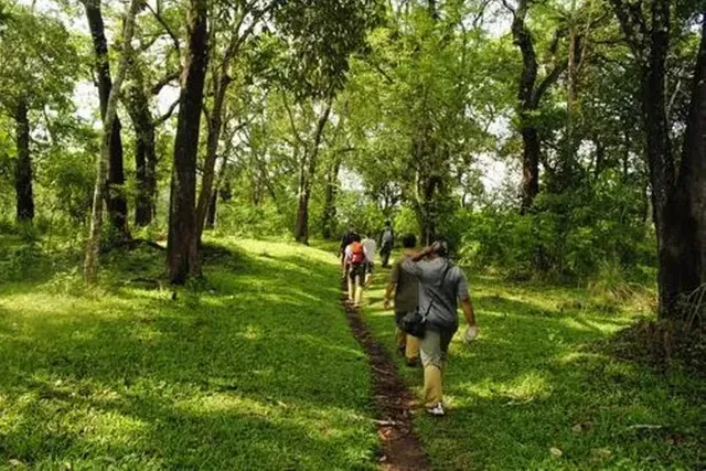 Thekkady: Immersive Nature Trail Adventure
