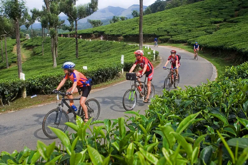 Wayanad: Scenic Cycling & Nature Escape, Wayanad