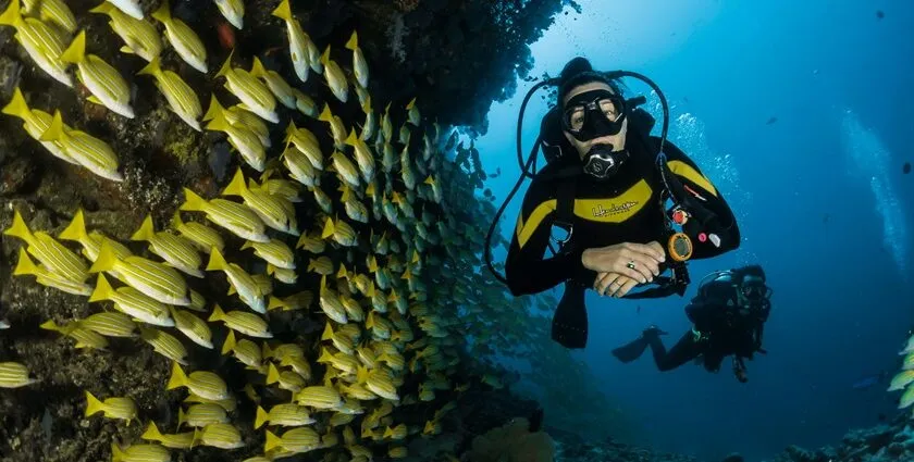 Scuba Diving, Kovalam
