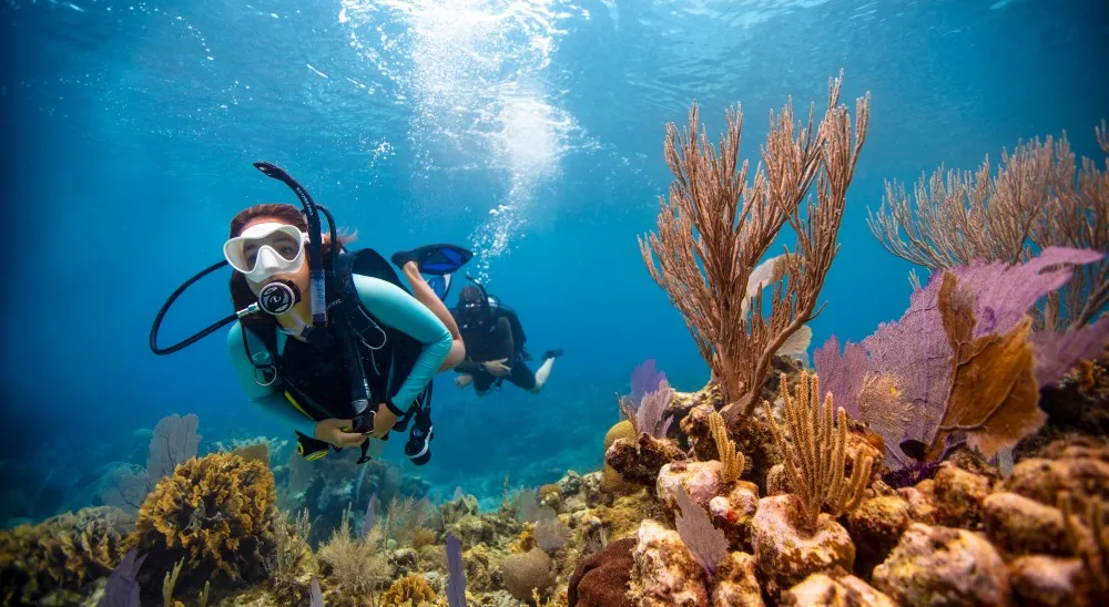 Snorkeling, Kovalam