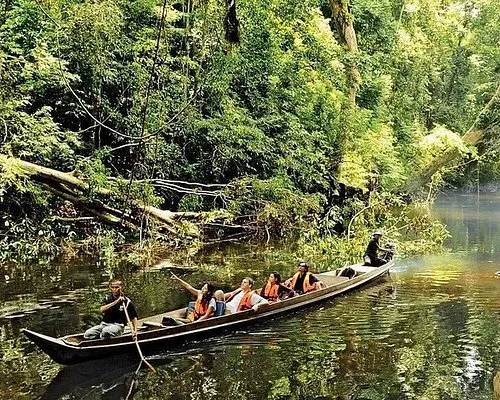 Taman Negara: Into Wild Rainforest Expedition, Kuala Lumpur