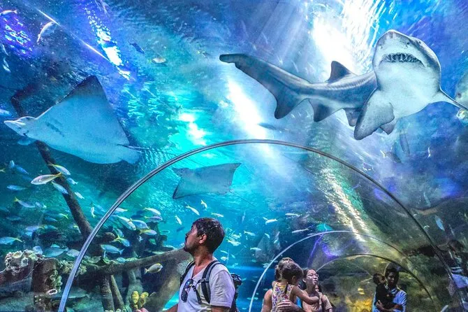 Aquaria KLCC: Underwater Marvels Experience, Kuala Lumpur