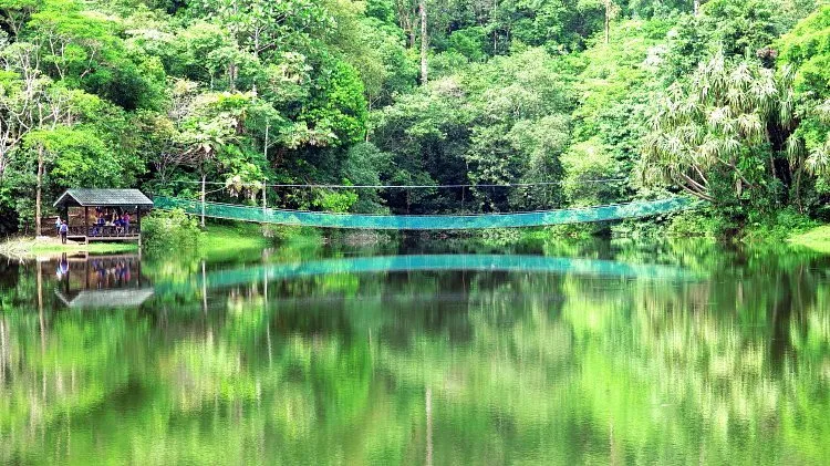Rainforest Discovery Centre: Nature & Education Escape, Sandakan
