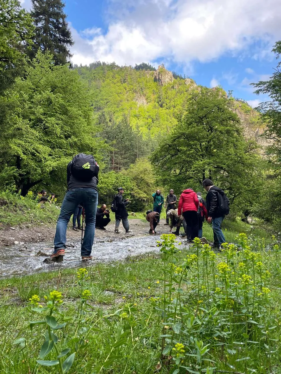 Hiking in Borjomi from Tbilisi, Tbilisi