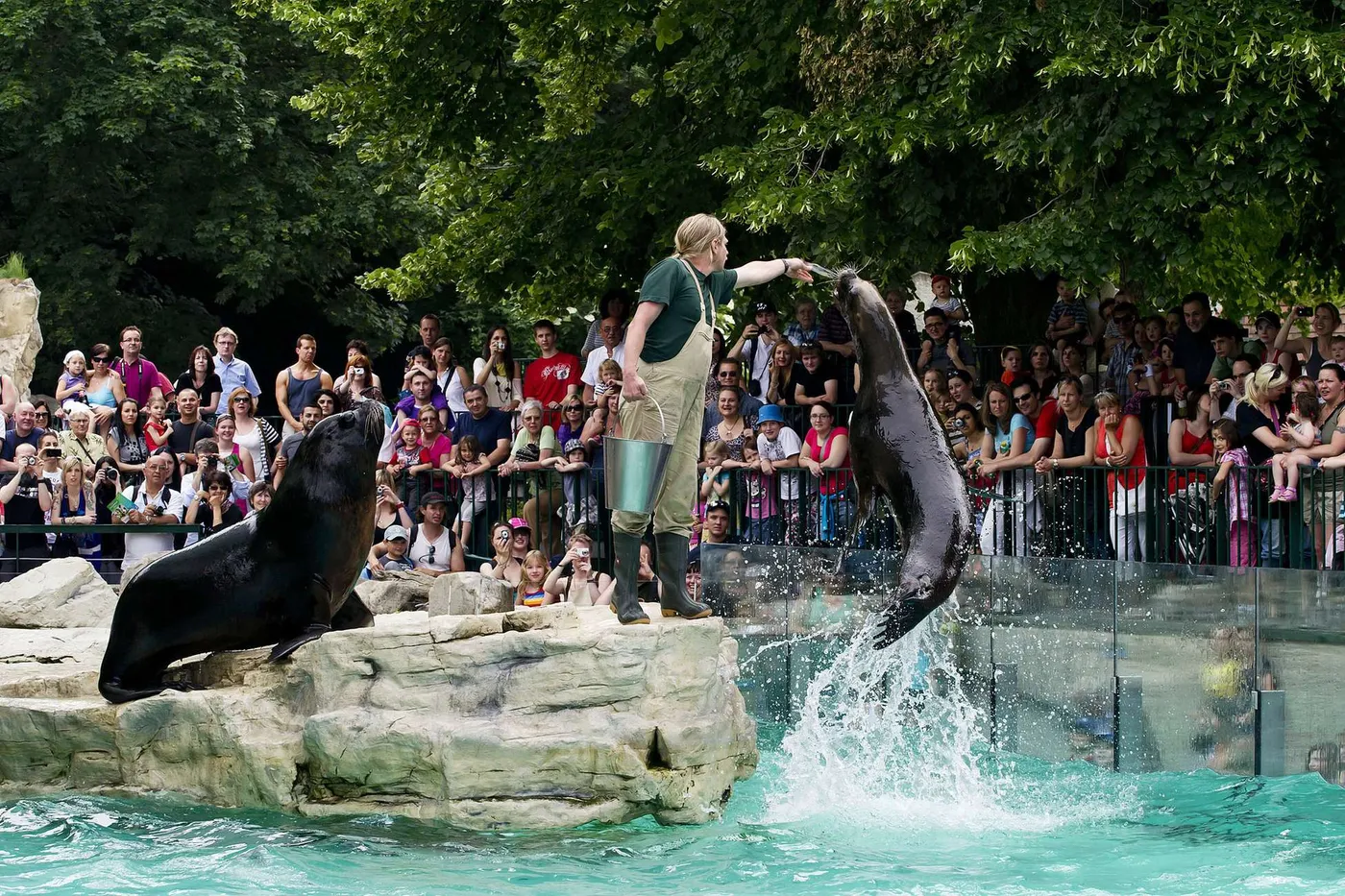 Vienna: Skip-the-line Tickets for Schönbrunn Zoo, Vienna