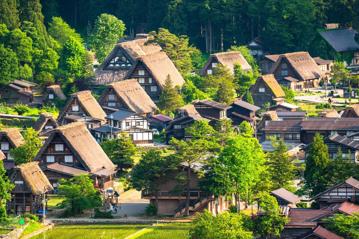 Nagoya: Heritage & Mountain Villages Journey, Nagoya