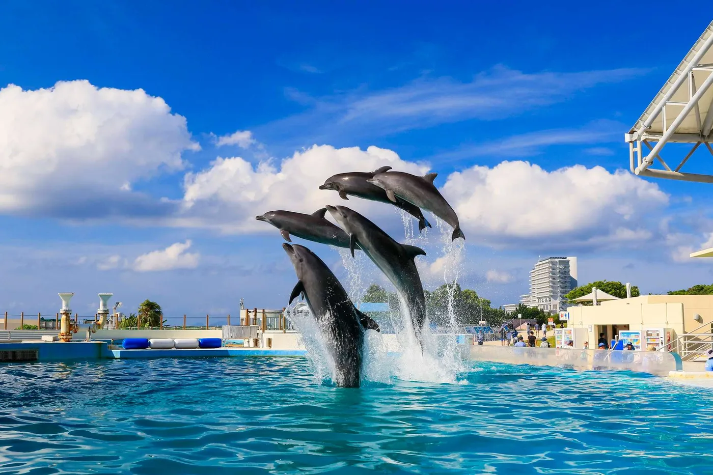 Naha & North Okinawa: Scenic Sightseeing & Churaumi Adventure, Naha