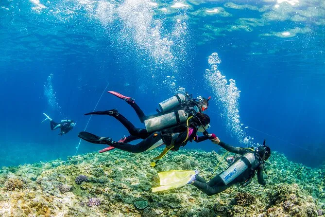Naha, Okinawa: Kerama Islands Full-Day Intro-Diving Trip, Naha