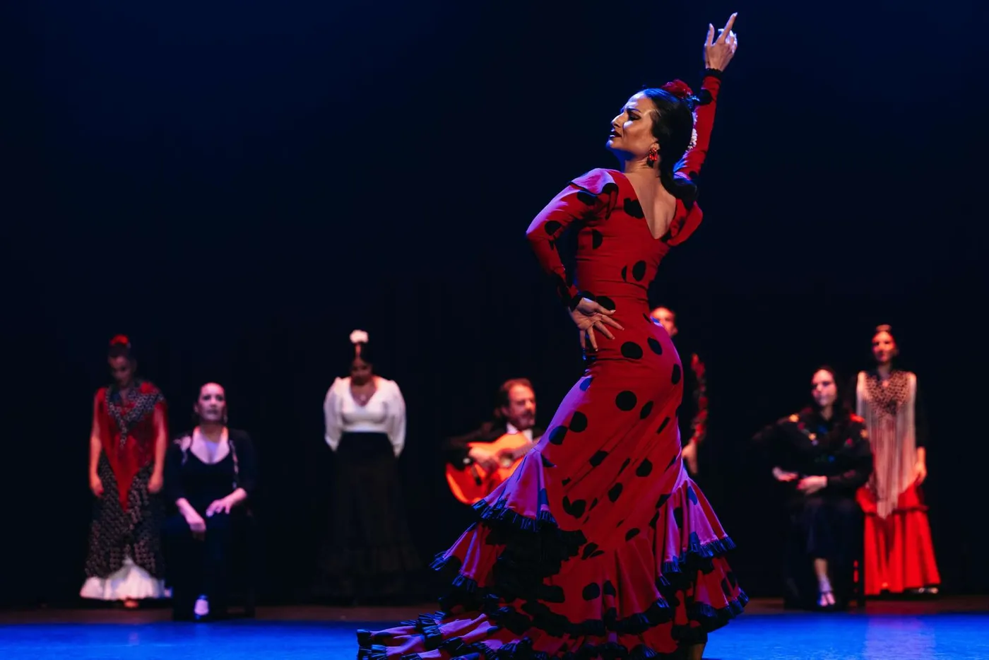 Seville: Authentic Flamenco Night Show, Seville