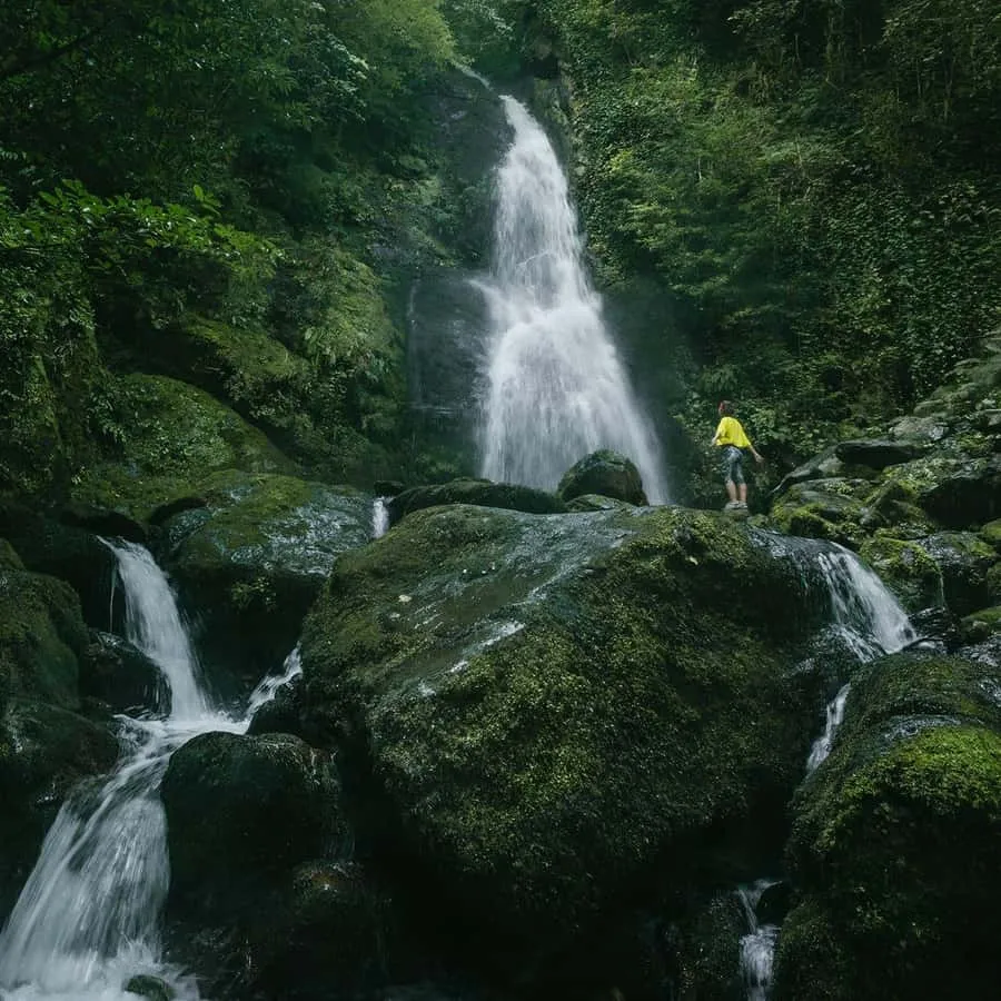 Batumi: Waterfalls & Wilderness Hike, Batumi