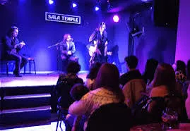 Madrid: Intimate Flamenco Art Experience, Madrid