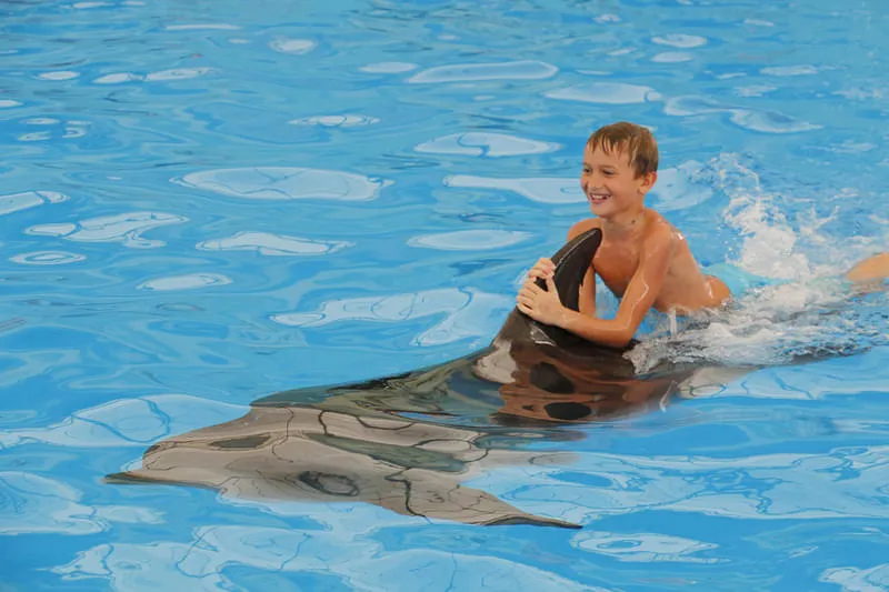 Phuket Dolphin Bay: Marine Magic Encounter, Phuket