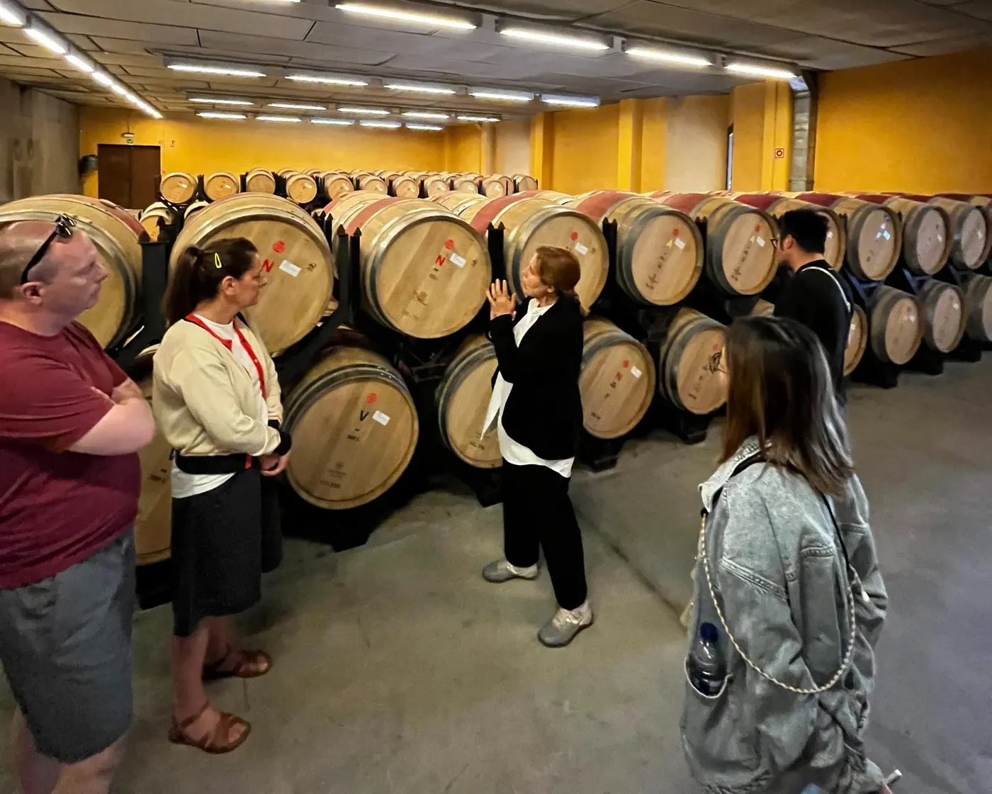 Barcelona: Familia Torres Wine & Tapas Escape, Barcelona