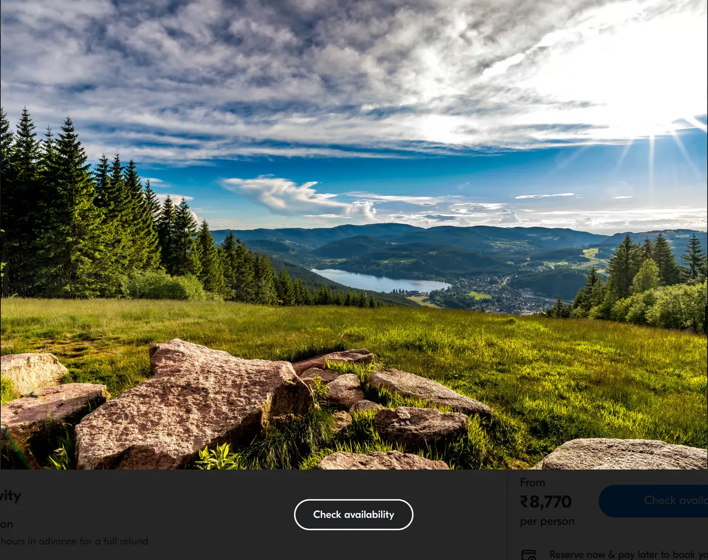 Zurich: Black Forest, Titisee, and Rhine Falls Bus Day Trip, Zurich